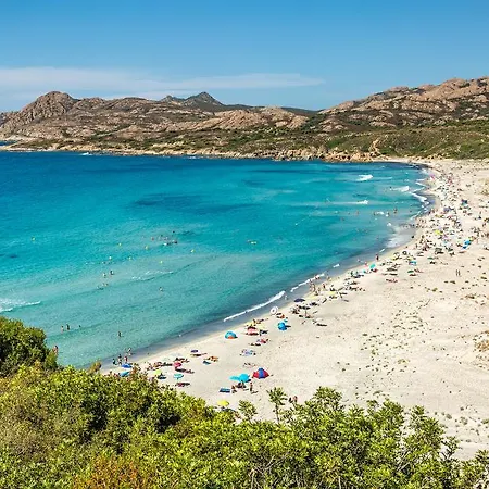 Dans La Pinede De Calvi Calvi (Corsica)
